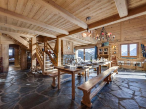 Chalet spacieux proche pistes avec terrasse sud - FR-1-690-29